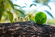 ESG Green Globe Ball on Environment, Society and Governance A joint agreement to care for resources, increase air, and reduce carbon emissions from factories for sustainable organizational.