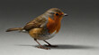 robin bird on transparent background
