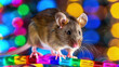 A small mouse perched atop a colorful toy in a lively setting, showcasing an unusual but adorable moment of interaction