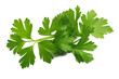 © SnapSale Studio - green leaves of parsley isolated on white background