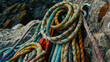 Vivid climbing ropes arranged in neat coils on a textured rocky surface, reflecting outdoor pursuits
