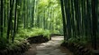 A serene and peaceful landscape of a tranquil bamboo forest with green leaves and tall stems