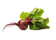 Beetroot with leaves on white background. Healthy food concept. Generative Ai