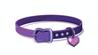 Purple Collar with name tag and heart icon isolated