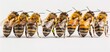 Harmony in Nature A Close-up View of a Honeybee Colony Generative AI