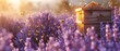 Beekeeping in a Field of Lavender The Symbiotic Relationship Between Bees and Lavender Generative AI