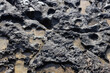 Weathered Coastal Rock Formation. Limestone Rock Formation Close-up