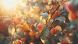Golden hour sunlight illuminates ripe apricots hanging from a tree, capturing a serene orchard moment.
