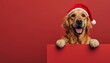 Cute puppy in christmas hat peeking from behind a blank banner for a playful holiday touch