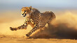 A regal cheetah sprinting across the open plains, its powerful muscles propelling it forward.