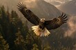 Flight of the Majestic Eagle