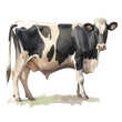 watercolor clipart Drawing of a cow in the farm, isolated on a white background, painting, Illustration Graphic, vector cow.