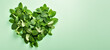 Fresh green peppermint leaves used as herb or tea, arranged in shape of heart. View form above, copy space on side. Generative AI