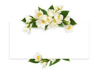 Wall Mural - jasmine flowers and leaves in a floral arrangement with a card for text on white or transparent back