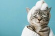 A content cat wrapped in a white spa towel and head wrap with its eyes closed in relaxation