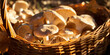 top view close up of a mushroom basket are displayed on the garden сreated with Generative Ai