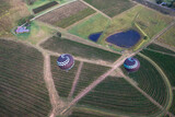 Fototapeta  - Hot air Balloons in Pokolbin wine region at sunrise over vineyards, Hunter Valley, NSW, Australia