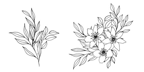 Wall Mural - vector contour branch flowers and leaves compositions. Elegant art for decoration. hand drawn monochrome botanical illustration for backgrounds. Template for wedding cards and polygraph, logo, tattoo.
