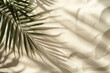 Banner of Palm leaf on sand, top view, copy space. Summertime background. Flatlay.