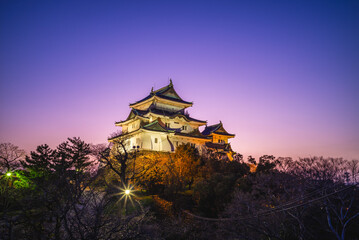 Wall Mural - Wakayama Castle, a Japanese castle located in Wakayama city, Wakayama Prefecture, Japan.