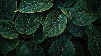 Wall Mural - Tropical leaves texture. Generative AI