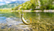 Fishing. Close-up shut of a fish hook under water.