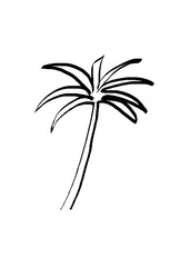 Poster - Black and white line drawing of a palm tree, simple illustration style, against a white background, conveying a tropical concept
