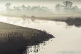 Fototapeta  - zakole rzeki we mgle rozświetlonej porannym słońcem