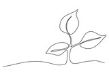 Fototapeta Dinusie - Sprout, one line drawing vector illustration.