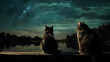 Chats regardant le ciel. Ciel étoilé de nuit. Animal domestique, chat, chaton, mignon. Ambiance calme, zen. Fond pour conception et création graphique.