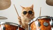 A picture of a ginger cat donning sunglasses, amusingly engaging with a drum set against a clean white backdrop.






