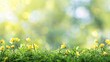 Beautiful spring meadow landscape with green grass and yellow flowers, blurred background, copy space concept