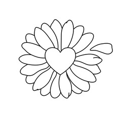 Wall Mural - Vector isolated one single chamomile flower with heart shape center with petals yes or no colorless black and white contour line easy drawing