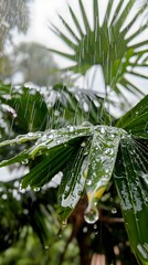 Wall Mural - rain drops on leaf