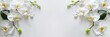 White orchid flowers on white background with copy space, top view. Space for text. banner, flat lay. Minimal concept,
