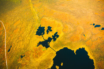 Poster - Yelnya Swamp. Upland And Transitional Bogs With Numerous Lakes. Elevated Aerial View Of Yelnya Nature Reserve Landscape. Famous Natural Landmark.