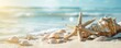 Beach with starfish and shells on the white sand, blurred background of sea or ocean. summer vacation concept
