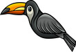 Cute toucan bird funny cartoon clipart illustration
