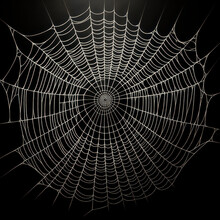A Detailed Spider Web On A Dark Background, Illustrating The Concept Of Intricacy And Natural Engineering. Generative AI