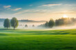Ethereal Tranquility: Verdant Field Bathed in Morning Mist, Sunlight Filtering Through the Trees