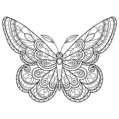 Wall Mural - Butterfly pattern hand drawn for adult coloring book