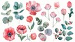 Various watercolor illustrations of tulips, anemones, eucalyptus, tulips, tulips, peonies. Each object is shown above a white background.