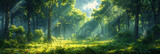 Fototapeta  - a green forest with tall trees and sunlight filtering through the leaves, banner natural landscape. sun rays through the forest, sun beams in green forest background.