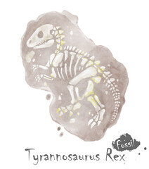 Wall Mural - Fossil of Tyrannosaurus rex dinosaur in rock . Watercolor paint design . Vector .