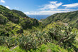 Blick über das Ribeira Brava-Tal mit m Dorf Eira do Mourão, Madeira