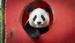 Panda peeking out of a hole in red wall