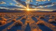A sun is shining on a desert landscape. The sun is the main focus of the image, and it is the only thing that is not blurry. The sun is shining brightly, creating a warm and inviting atmosphere