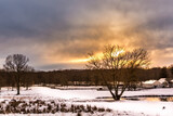 Fototapeta Mosty linowy / wiszący - Winter time in Chatham, New Jersey with snowy trees at sunset.