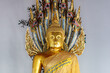 Closeup of Golden Buddha statue at Wat Po, in Bangkok, Thailand. Snakelike ornamentation behind; white background. 
