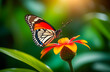 Close up of a beautiful tropical butterfly on a flower.